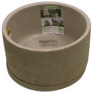 Liesl Small 5.9" x 3.5" 2 qt. Beige Ceramic Indoor Succulent Indoor Planter